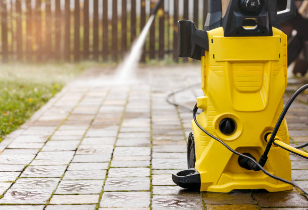 Animal Enclosure Cleaning in Tennille, GA